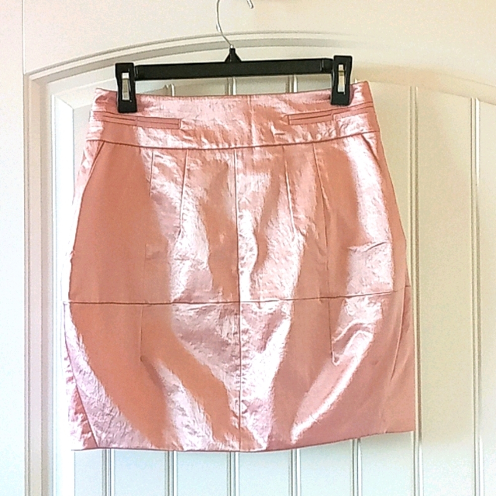 NWOT Silkly Pinky Quality Skirt